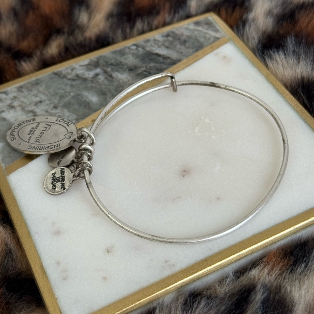 Alex and Ani 2016 “ Friend “ Friendship Silver-tone Adjustable Bangle Bracelet - Picture 4 of 7